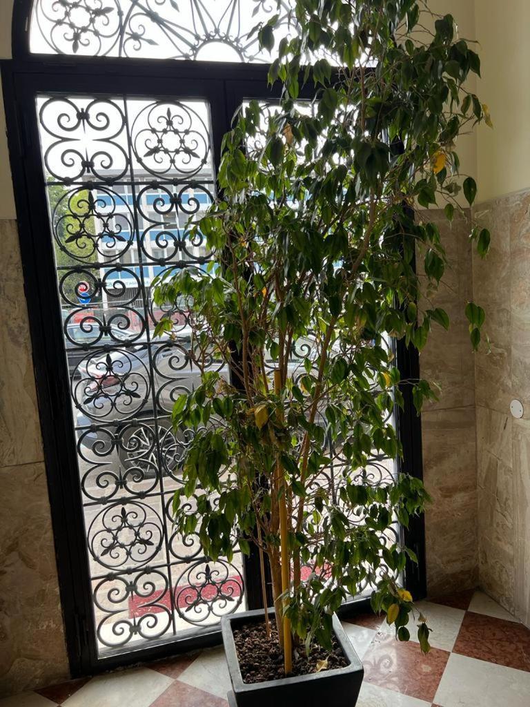 Hotel Ca Dei Barcaroli 3*